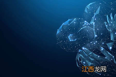 智力中老年豆奶粉好不好