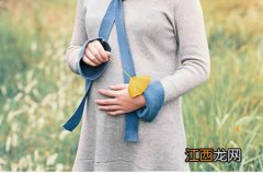 皇氏乳业摩拉菲尔纯牛奶价格