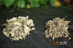 产妇月子食谱推荐：胡萝卜玉米排骨汤产后