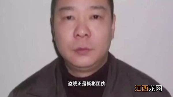 盗墓贼杨彬的最后下场