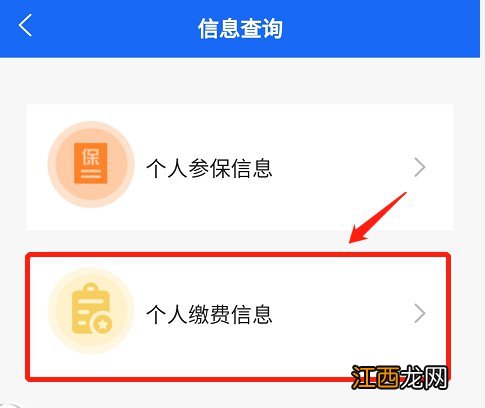 阜阳居民医保参保及缴费信息查询流程