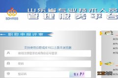 山东省专业技术人员管理服务平台入口