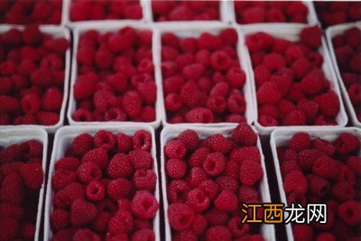 1周岁宝宝食谱推荐幼儿