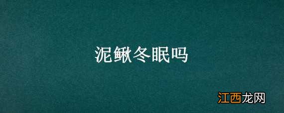 泥鳅冬眠吗?为什么? 泥鳅冬眠吗