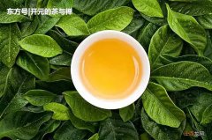 泡浓茶有什么坏处 晚上喝浓茶的危害