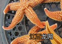 海星泡酒的功效与作用 海星泡酒的功效与作用是什么