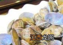 蛤蜊的功效与作用 蛤壳的功效与作用