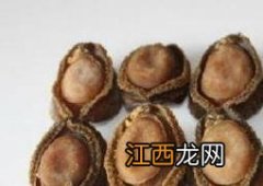 煮熟鲍鱼怎么保存最新鲜 煮熟鲍鱼怎么保存