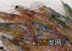 虾不能和什么一起吃会造成中毒 虾不能和什么一起吃