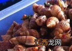 海丁的营养价值 海丁有什么营养价值