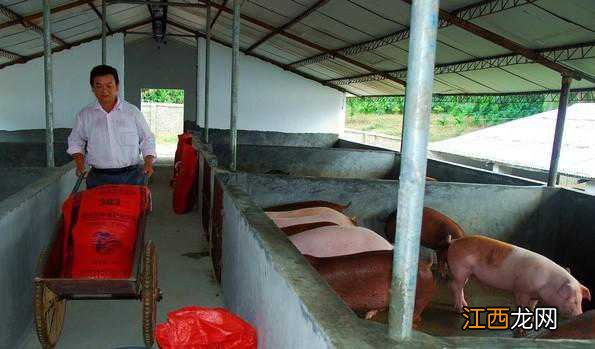 养猪户刘运忠:自主创业养猪中体验幸福