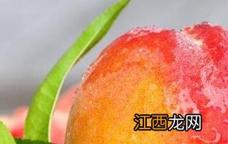 水蜜桃和毛桃的区别是什么 水蜜桃和毛桃的区别