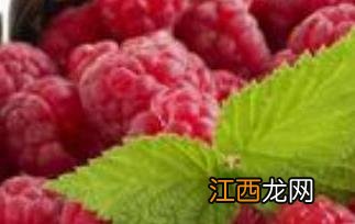 干覆盆子泡水喝用量 干覆盆子怎么泡水喝