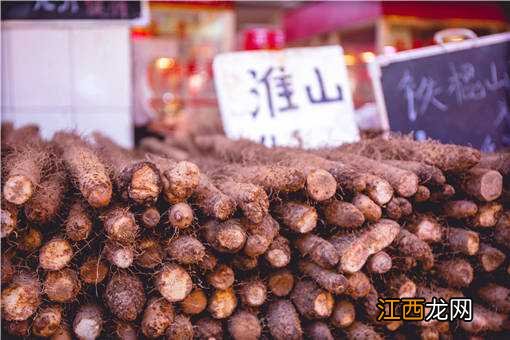 树下适合种植什么农作物 适合树下种植的农作物有哪些