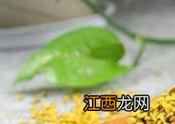 油菜花粉的功效与作用 油菜花粉的功效与作用及食用方法