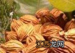 砂仁泡蜂蜜的作用与功效 砂仁泡蜂蜜的作用与功效及禁忌