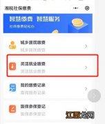 湘税社保灵活就业养老保险缴费流程 湘税社保缴费步骤