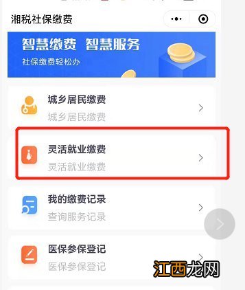 湘税社保灵活就业养老保险缴费流程 湘税社保缴费步骤