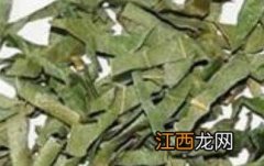 柿子叶的功效与作用能降血糖 柿子叶的功效与作用