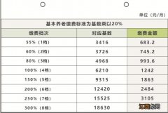 2021成都灵活就业养老保险缴费标准 2021成都灵活就业人员社保缴费档次