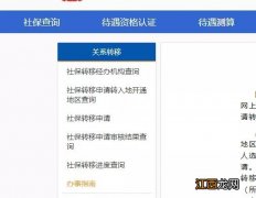 附入口 长沙职工养老保险关系转移网上办理指南