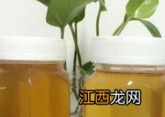 枇杷蜜的功效与作用点 枇杷蜜的功效与作用