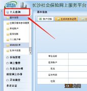 湖南职工社会养老保险个人账户查询入口汇总
