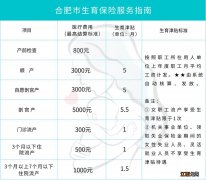 合肥领取失业金期间能否享受生育保险待遇？