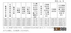 合肥城乡居民基本养老保险网上办理流程