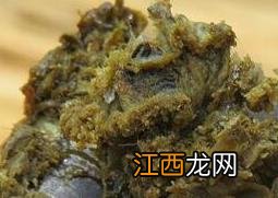 中药蜂胶的功效与作用及食用方法图片 中药蜂胶的功效与作用及食用方法