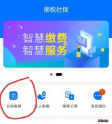 湘税社保怎么交医疗保险没有查询到参保信息 湘税社保怎么交医疗保险