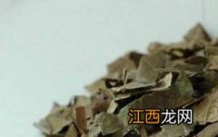 干枇杷叶的功效与作用图片 干枇杷叶的功效与作用