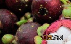 山竹怎么吃 一岁宝宝吃山竹怎么吃