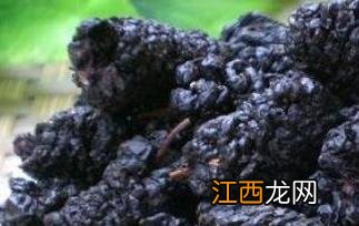 干桑椹子的功效与作用 干桑椹子的功效与作用-食用方法及禁忌