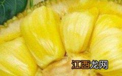 菠萝蜜的营养价值 菠萝蜜的营养价值有哪些