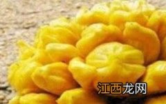 菠萝蜜核什么人不能吃 菠萝蜜核不适合什么人吃