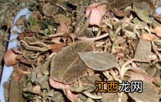 白花石榴根有什么功效 白花石榴根的功效与作用