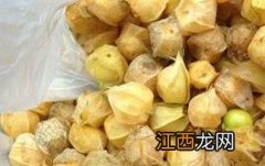 含羞果的营养价值与功效作用 含羞果的营养价值与功效