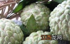 林檎果功效 林檎果怎么吃