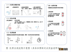 抗原抗体常见的检测方法 抗原检测怎么自测