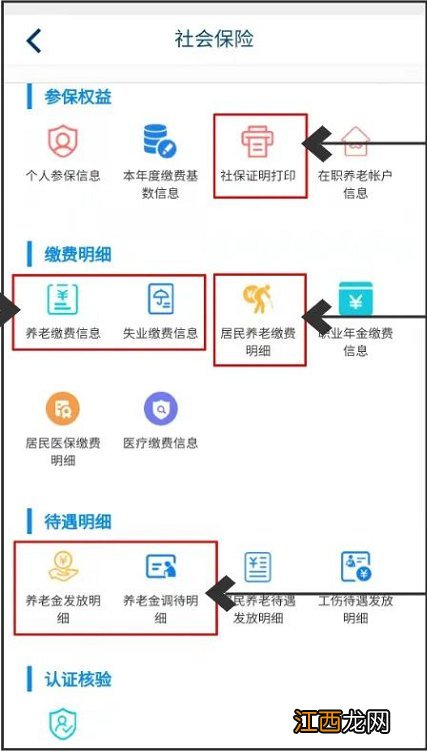 附入口 青岛市基本养老保险参保缴费凭证查询方法