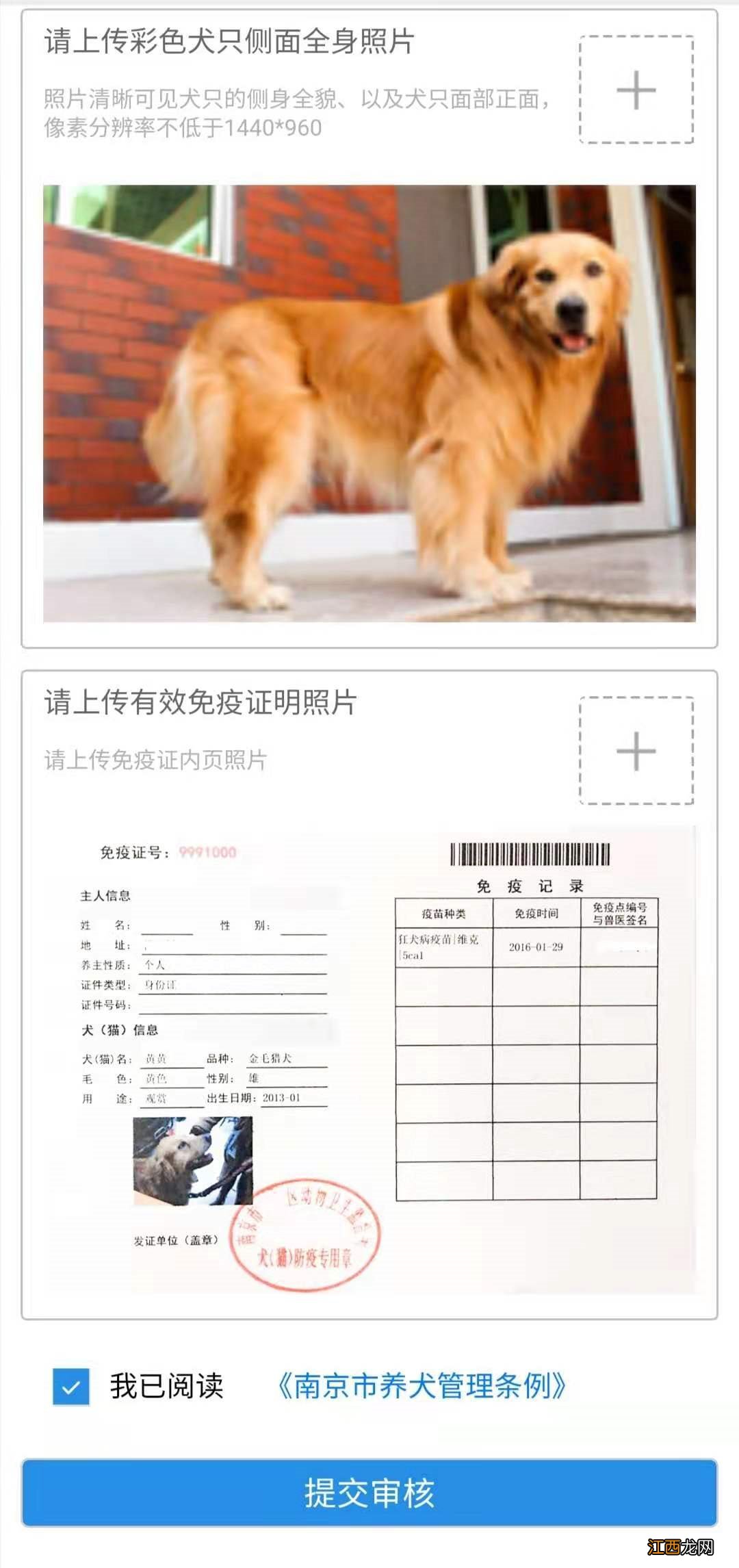 南京养犬证线上申请 南京市养犬登记证