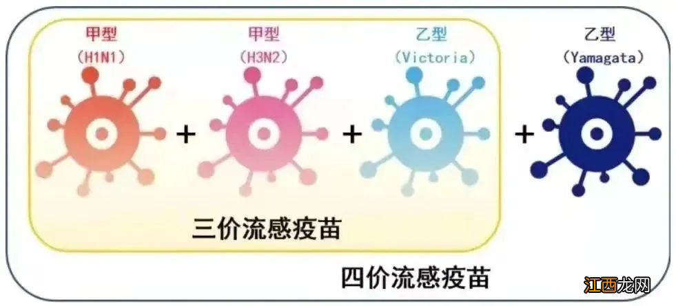 2022温州瓯海区流感疫苗预防接种门诊地址及服务时间