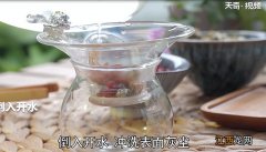 菊花枸杞茶怎么泡? 菊花枸杞茶怎么泡