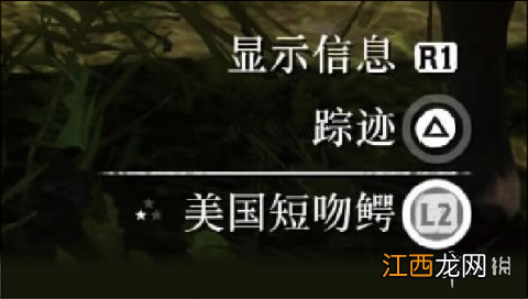 荒野大镖客2动物素材品质有哪些 荒野大镖客2动物材料