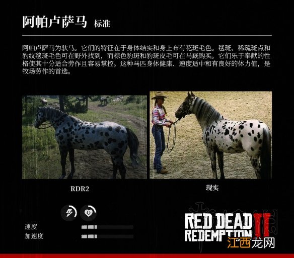 荒野大镖客2全马匹特性与原型对比分享 马匹种类介绍_网