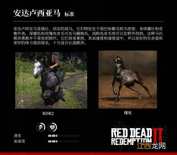 荒野大镖客2全马匹特性与原型对比分享 马匹种类介绍_网