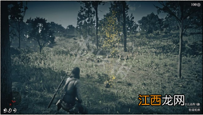 荒野大镖客2传说动物怎么狩猎不了 荒野大镖客2传说动物怎么狩猎