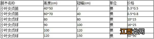 女贞树种子怎么种 女贞树种子怎么种的