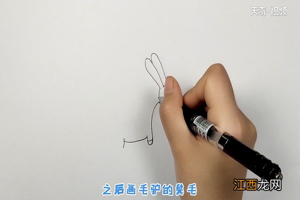 我有一只小毛驴简笔画 毛驴简笔画